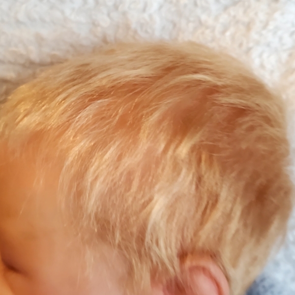 🔴🔴 SOLD 🔴🔴 - Picture 13 of 16